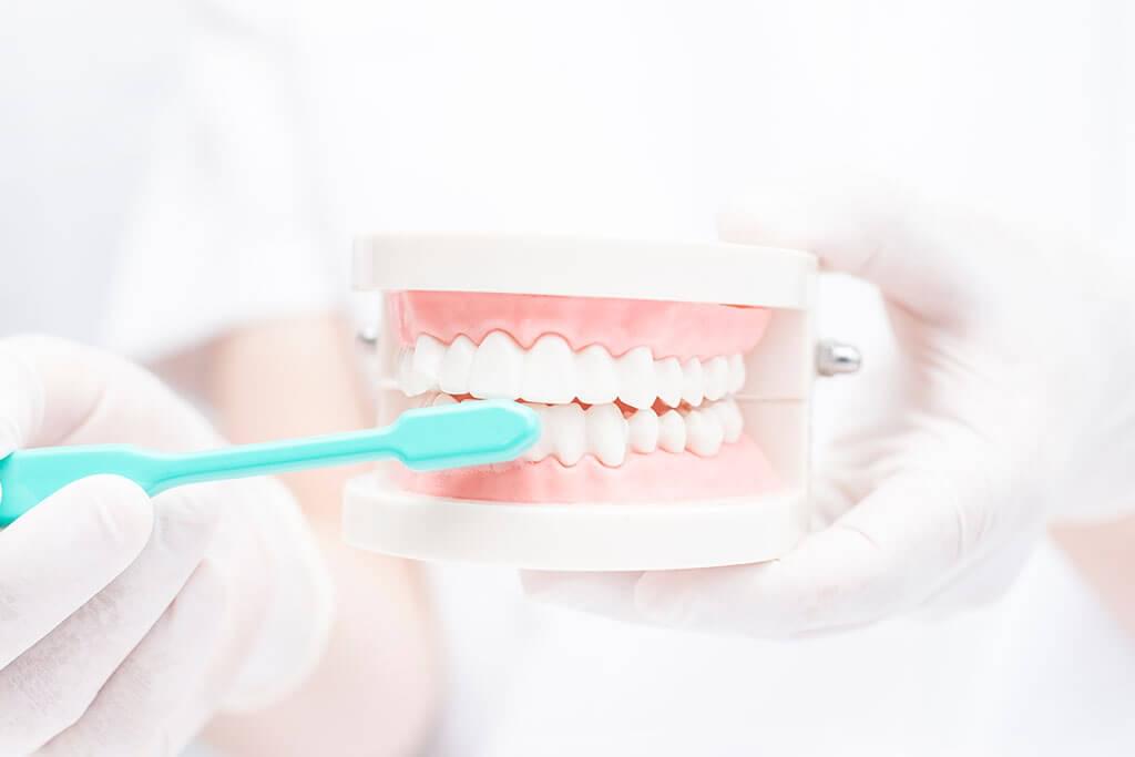 予防・クリーニング